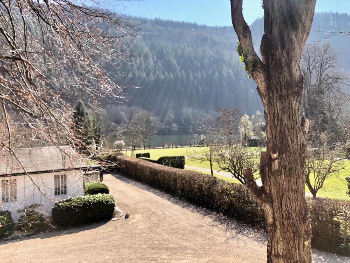 Ferienwohnung Weingut Villa Huesgen Am Moenchhof Traben-Trarbach Exterior foto